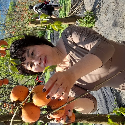 Đăng kim Hoa