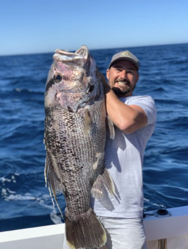 Shannon - Australia