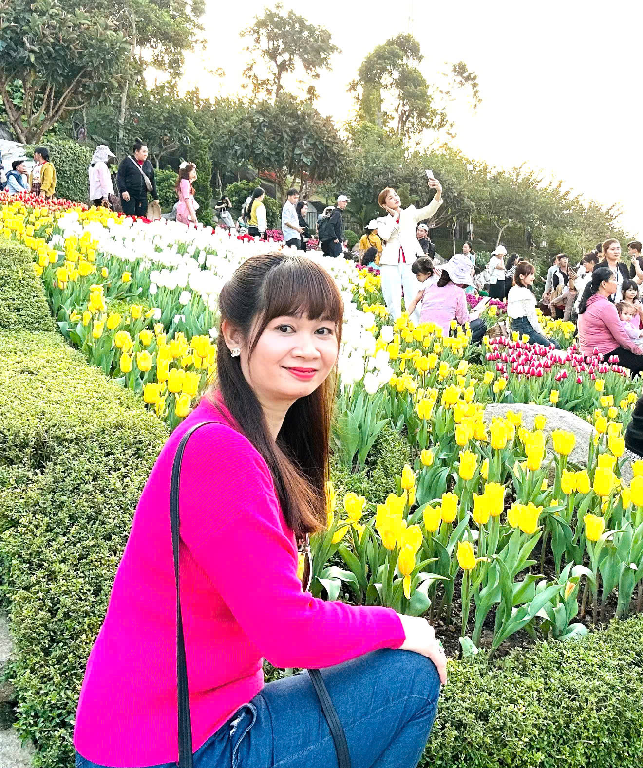 Yến Sang