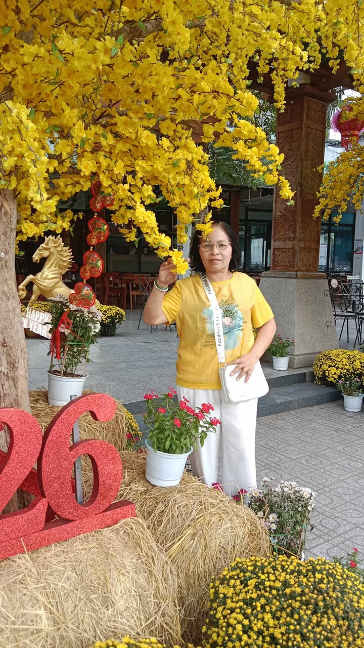 Le Thuy