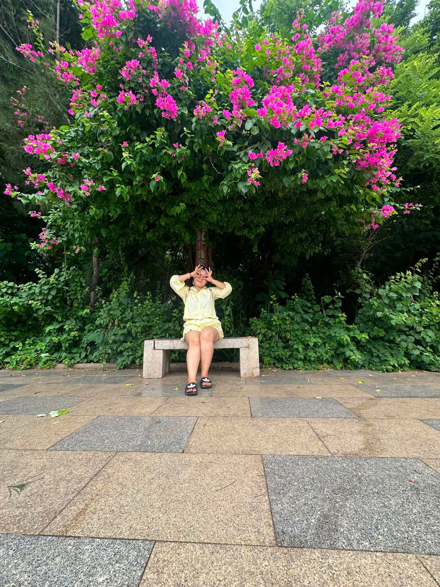 Linh Nguyễn