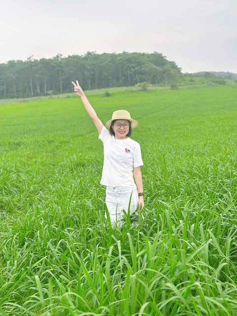 Đức Nguyễn