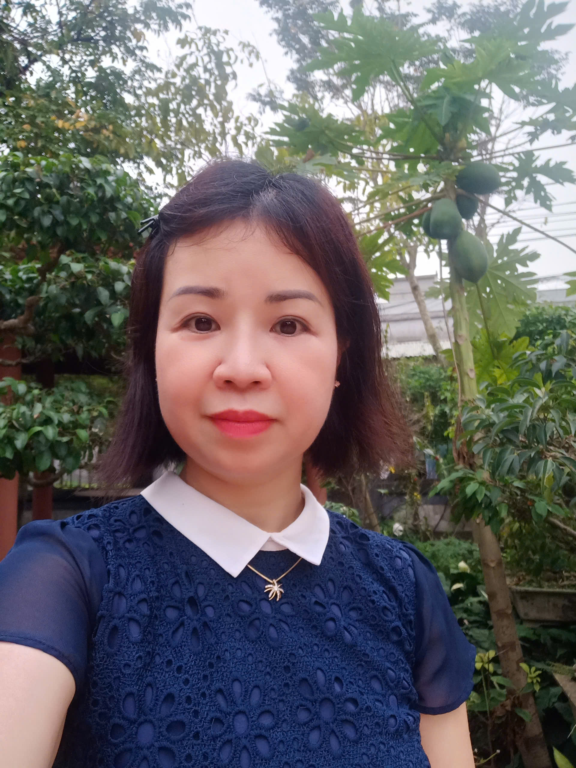 Vân Anh