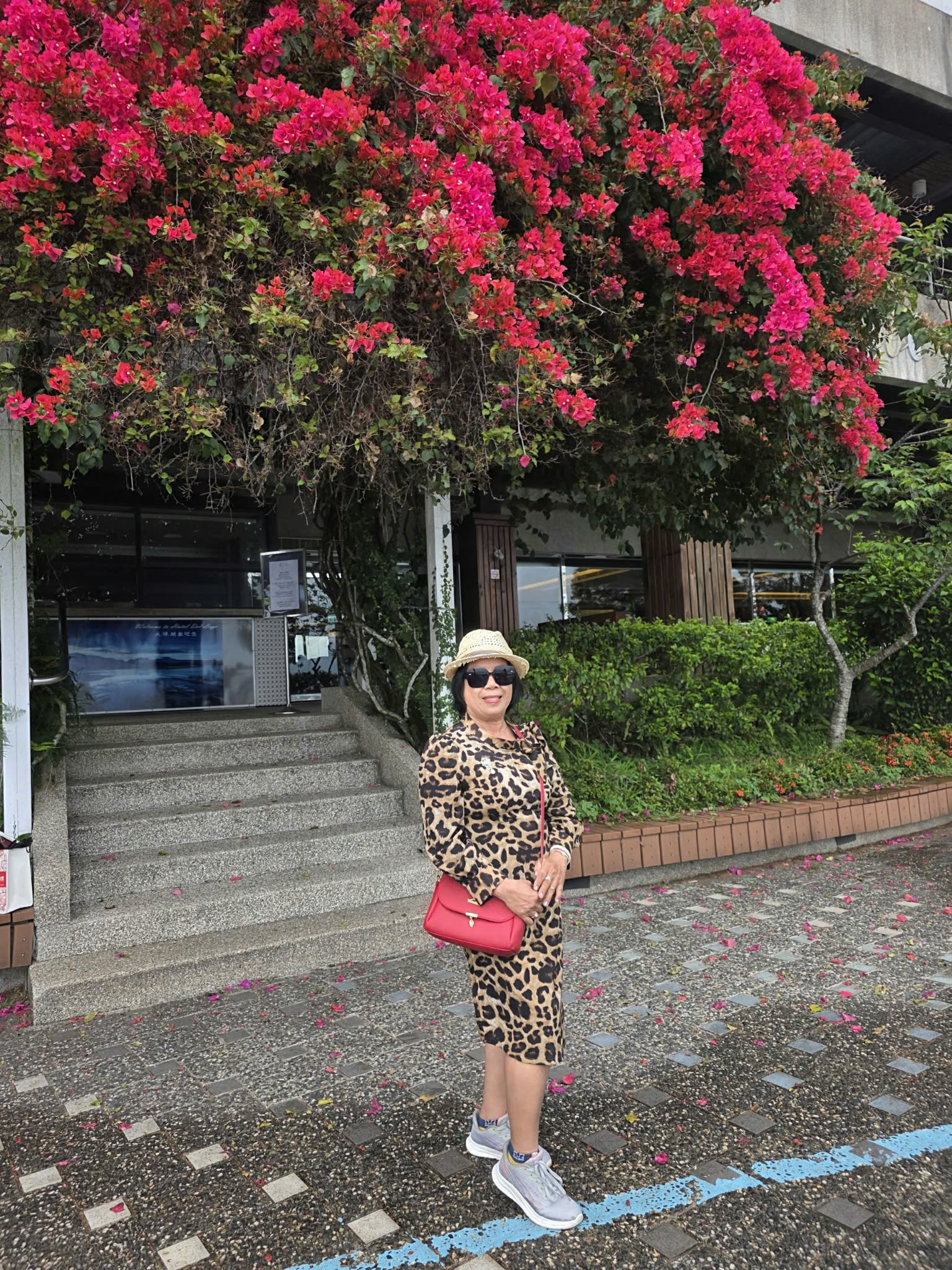 Vân Nguyễn
