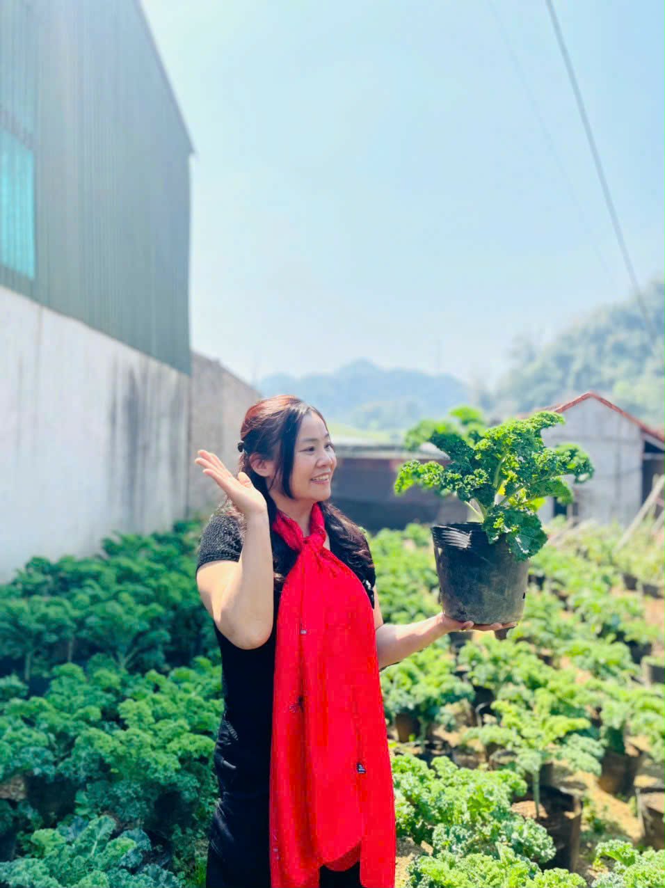 Thu Hà