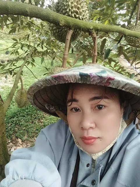 Minh Minh