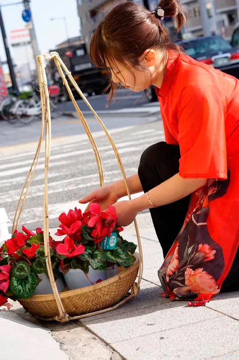Hương Anh, Nhật Bản