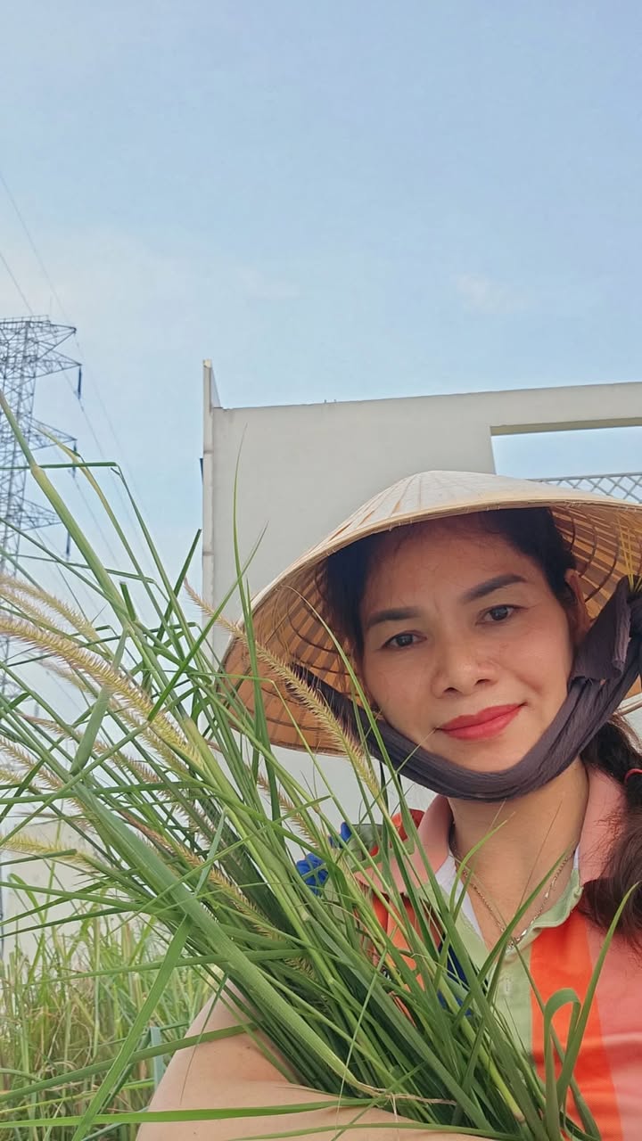 Thuy Dung