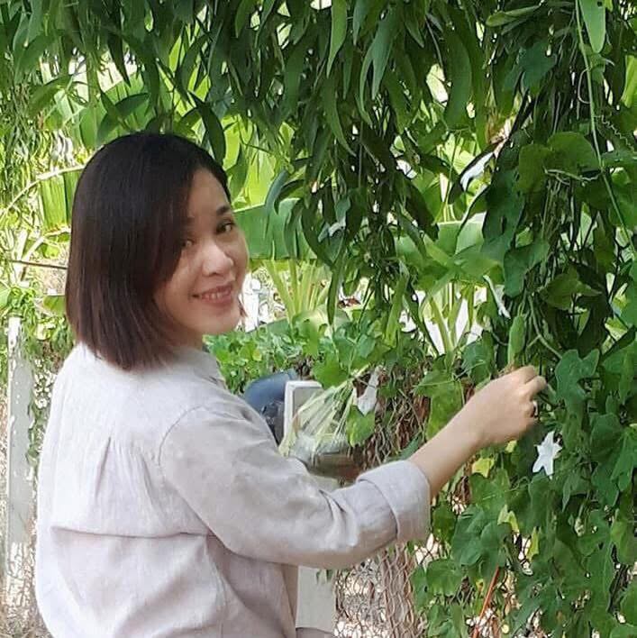 Binh Luc