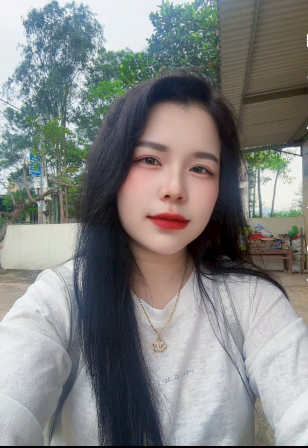 Lan trần