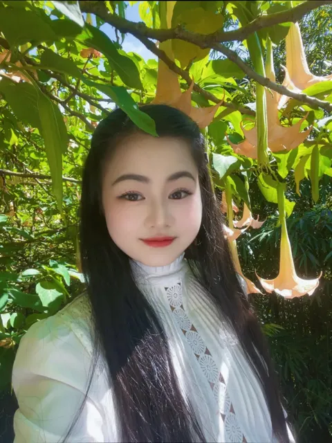 Hương Mai