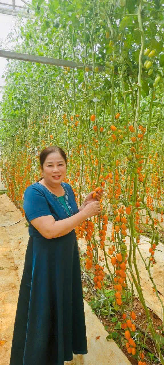 Bui Thi Pha - 62