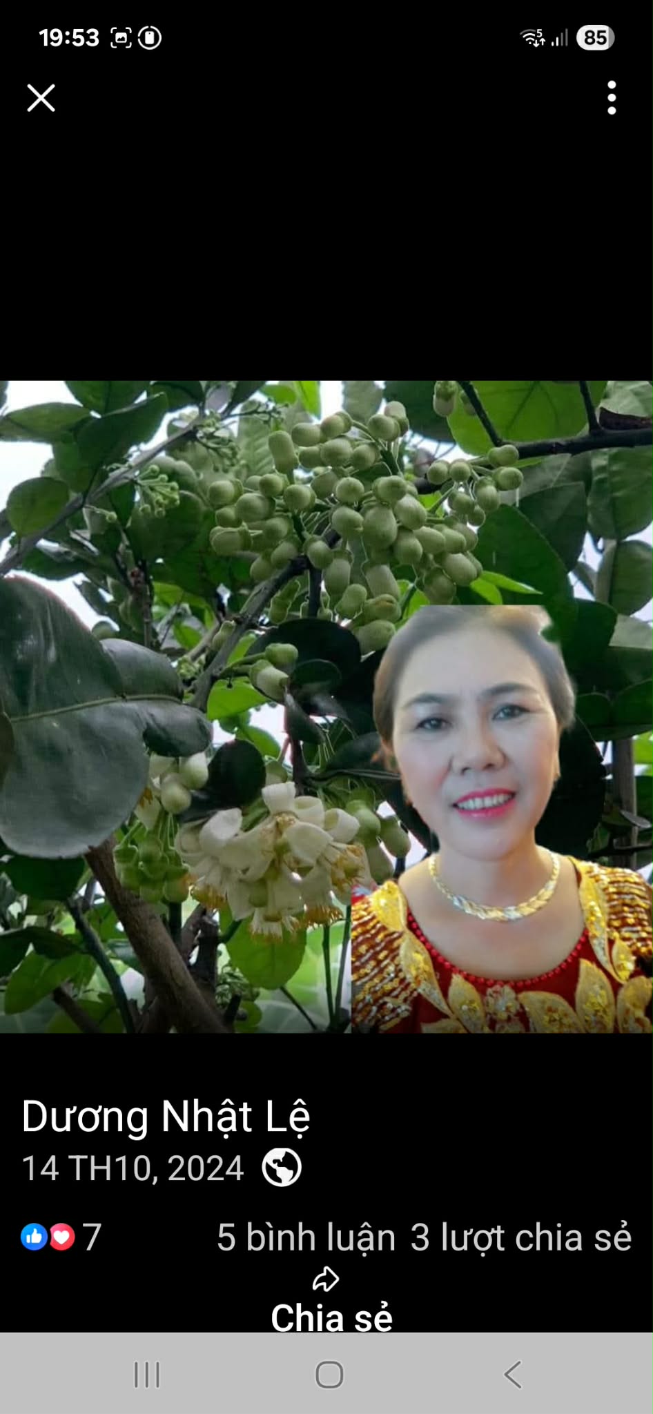 Duong Nhat Le