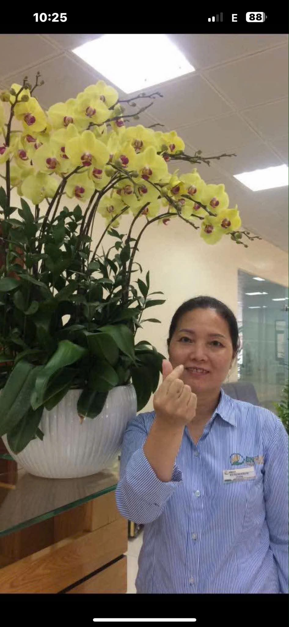 Bích Hạnh