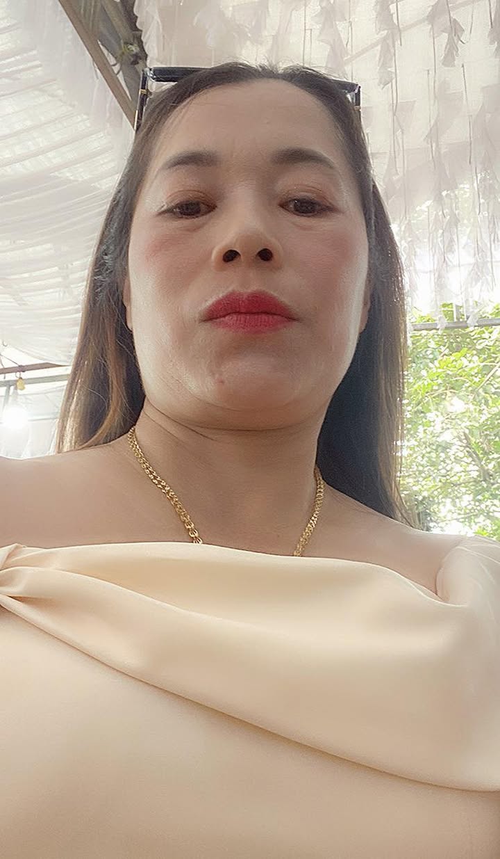 Mỹ Linh