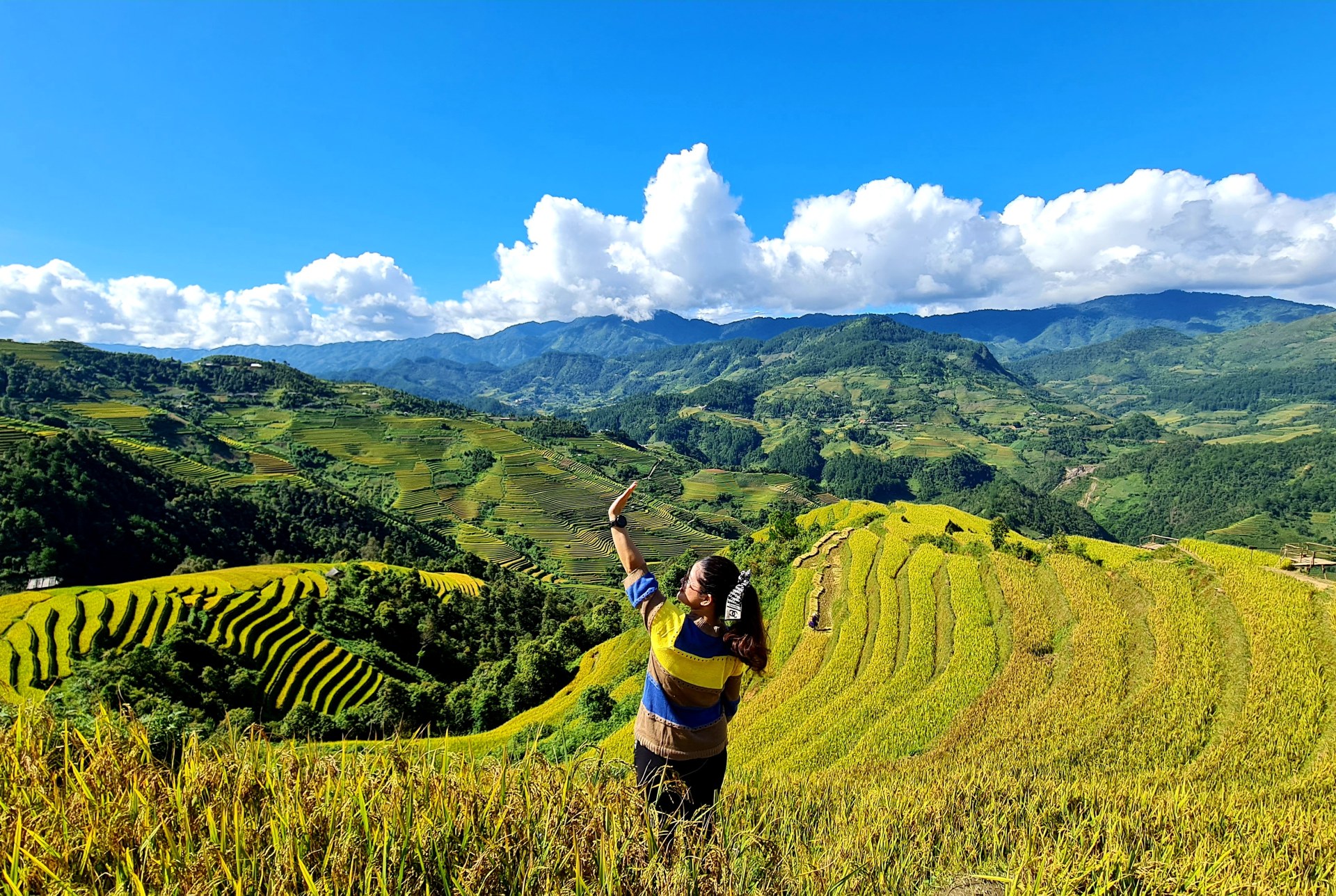 Pham Thi Hong Ngoc