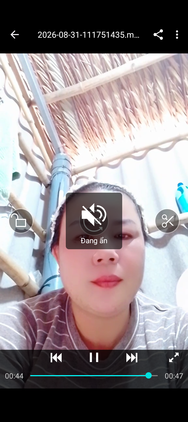 Luong Hong Trang