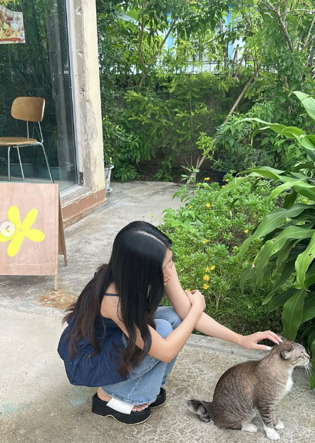 Tuyết Sương