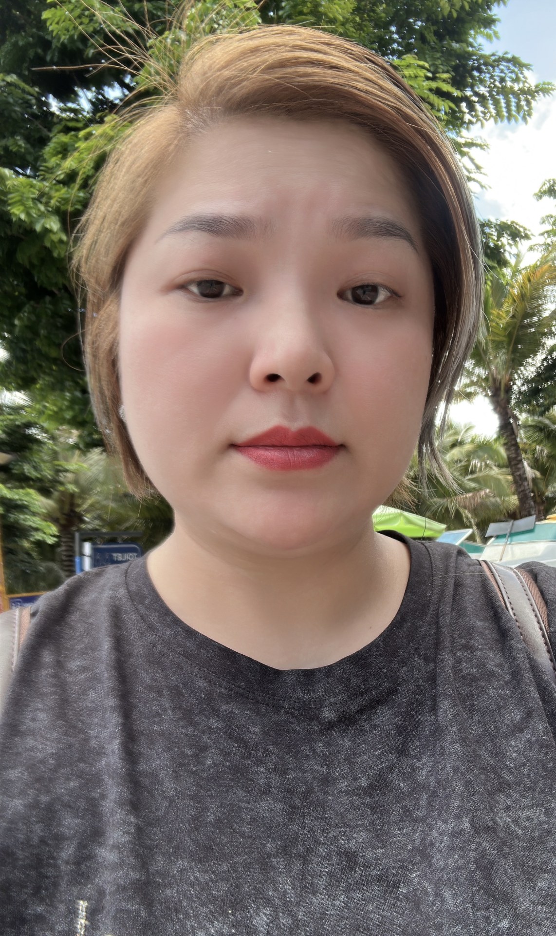 Phan thi thu ha