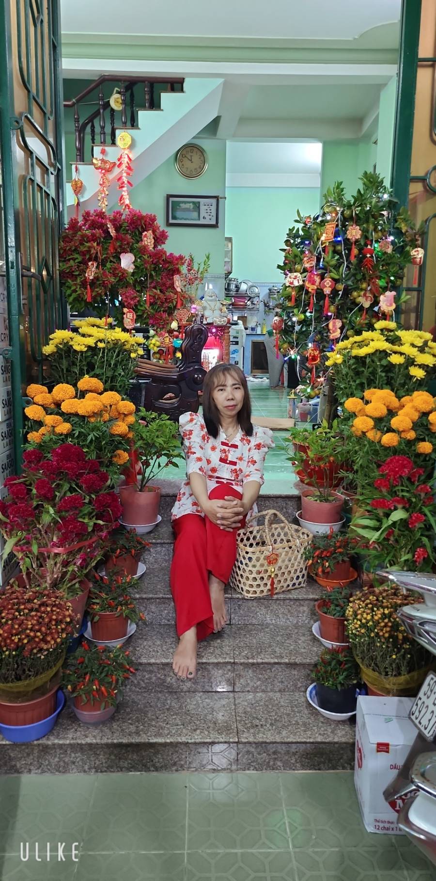 Thu Ha