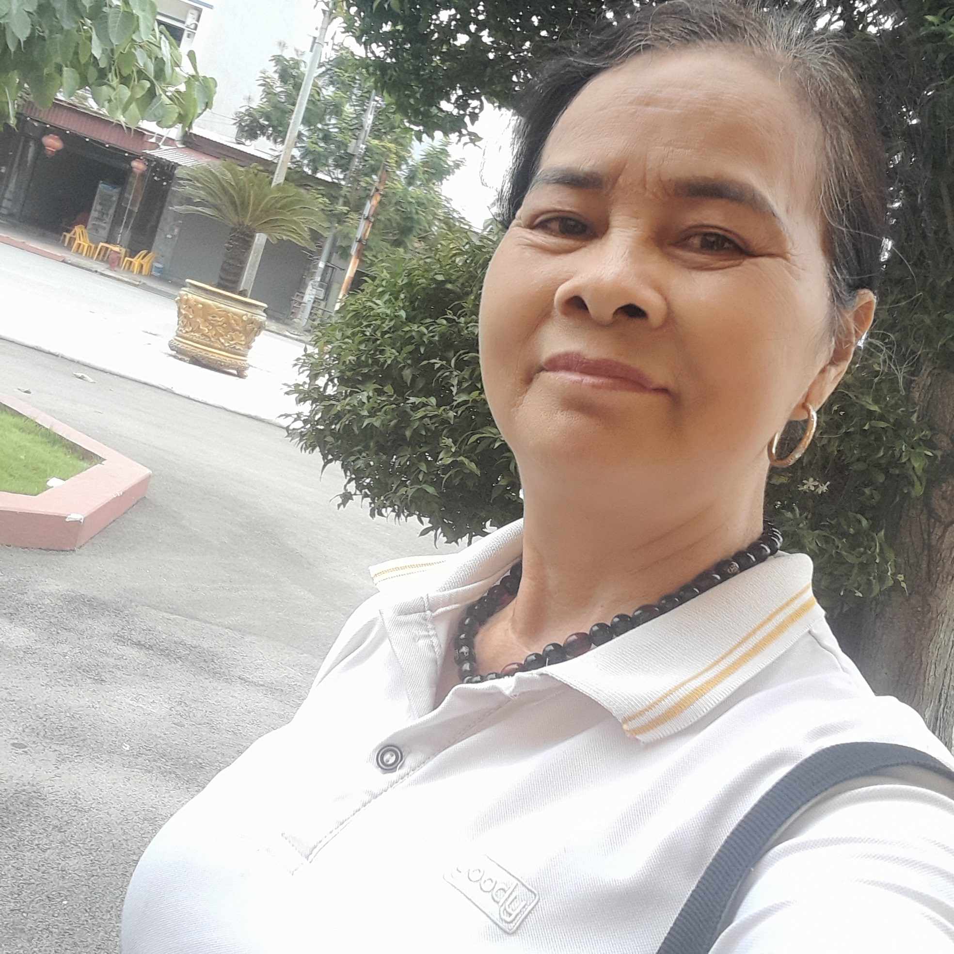 Vũ Thị Hồng