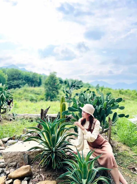 Vinh Phạm